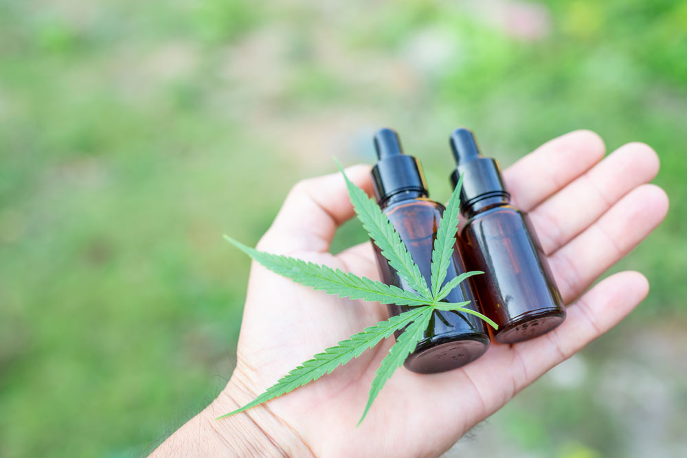 Hemp oil vs CBD oil: Everything You Need to Know