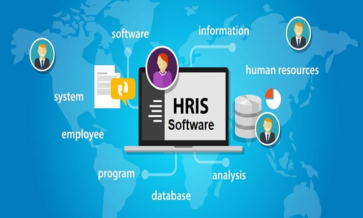 HRIS Software Increases Employee Engagement During WFH