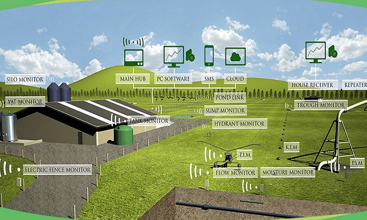 How the Adoption of Technologies in Agriculture can Add Value